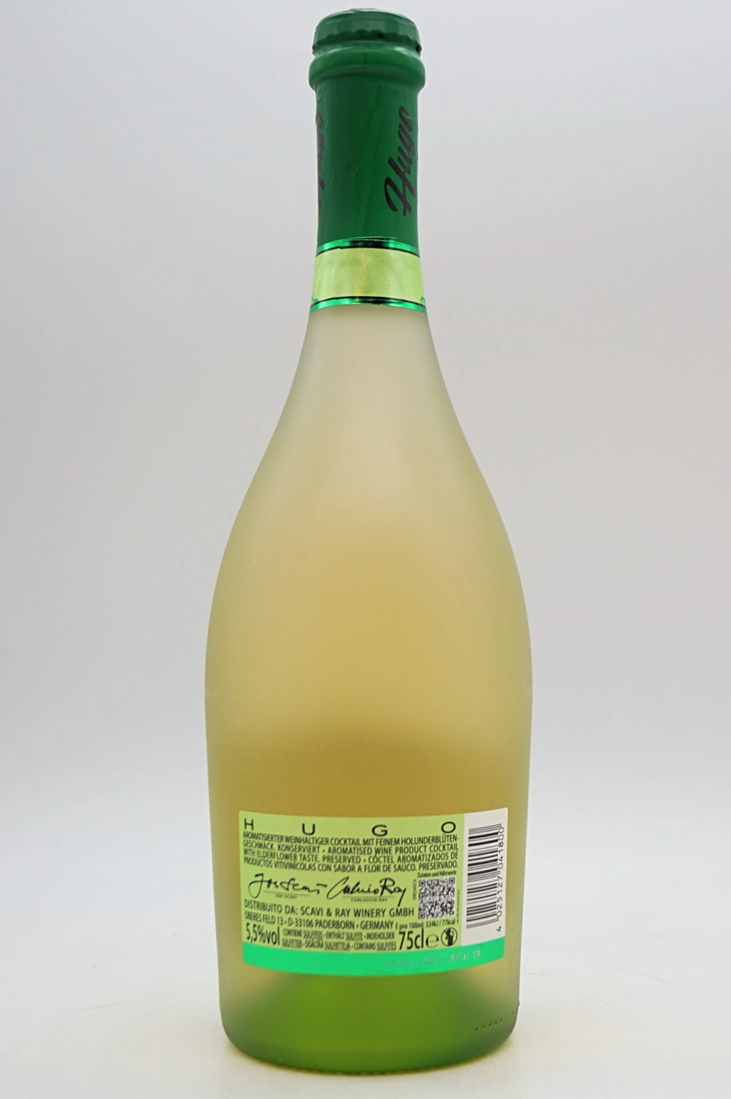 Scavi & Ray - Hugo 2 Scavi & Ray - Hugo – Bild 2